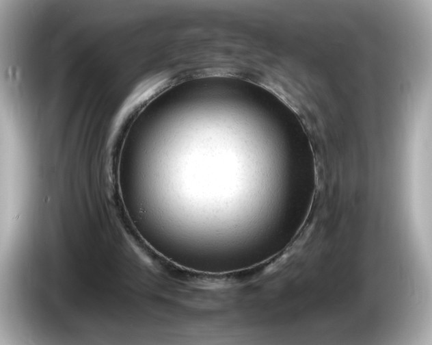 X0000086060245200704091233