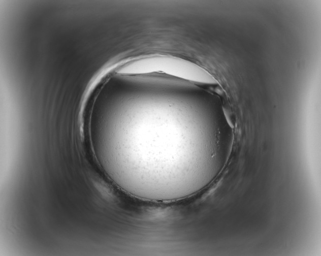 X0000086060246200704091233