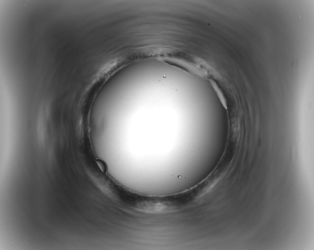 X0000086060254200704091233