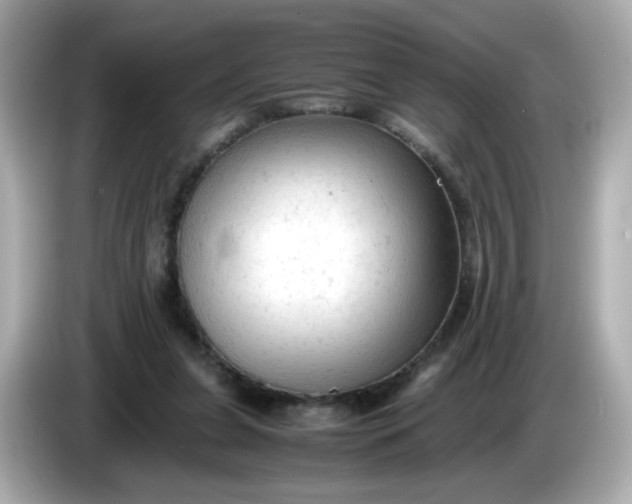 X0000086060255200704091233