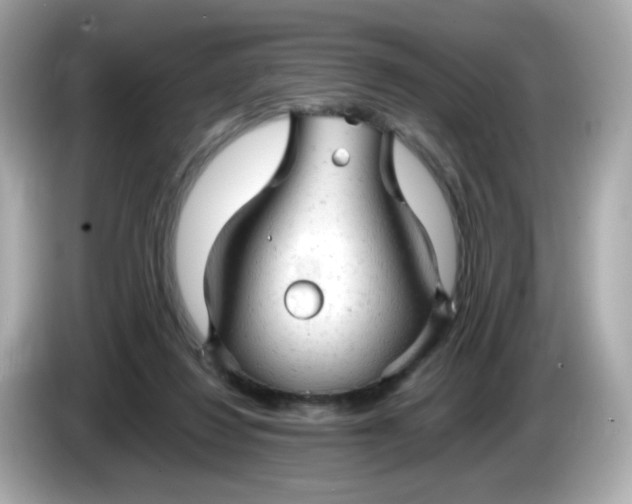 X0000086060260200704091233