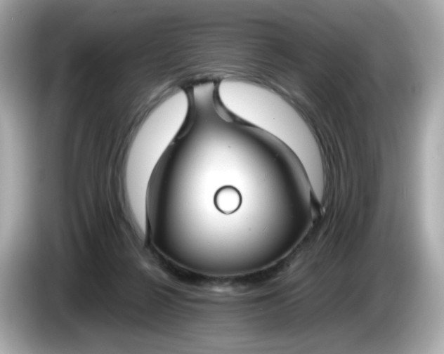 X0000086060264200704091233