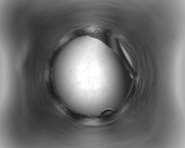 X0000086060266200704091233