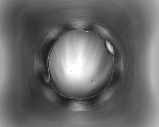 X0000086060268200704091233