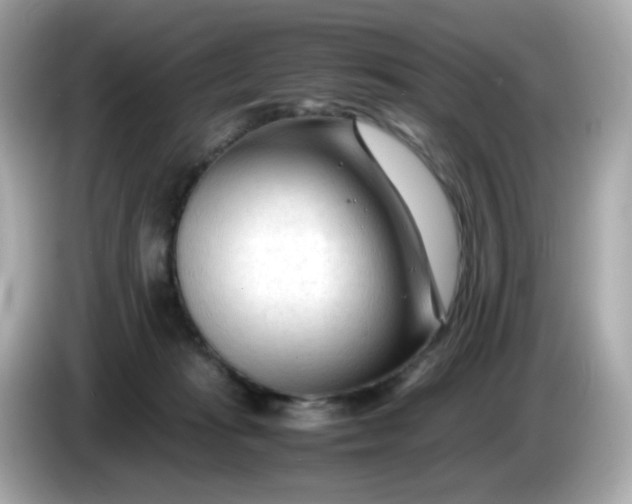 X0000086060269200704091233