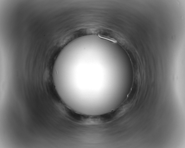 X0000086060270200704091233