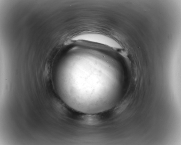 X0000086060273200704091233