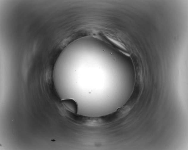 X0000086060274200704091233