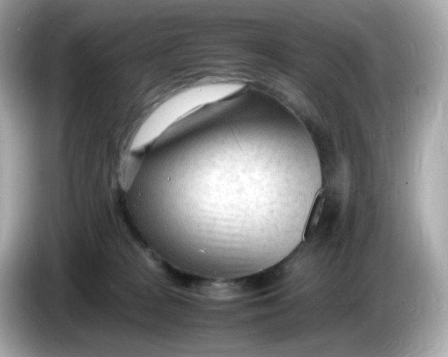 X0000086060277200704091233