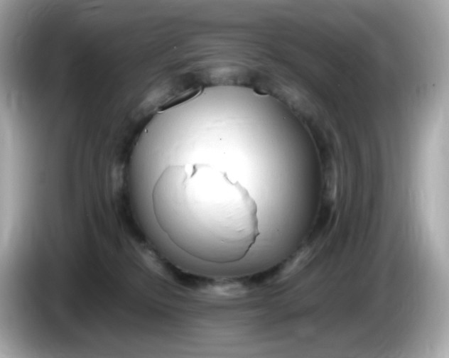 X0000086060278200704091233