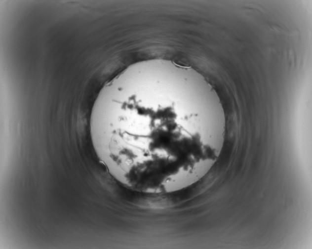 X0000086060279200704091234