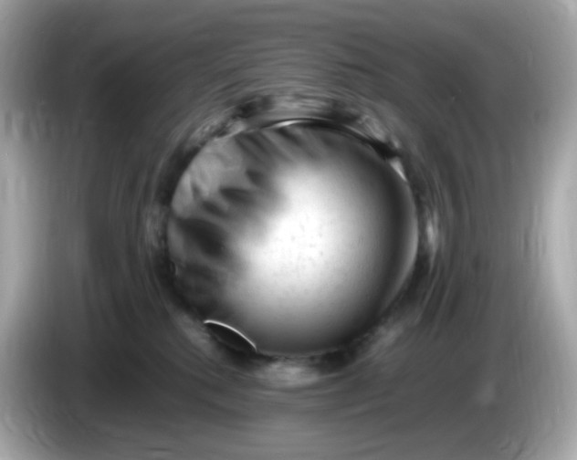 X0000086060280200704091234