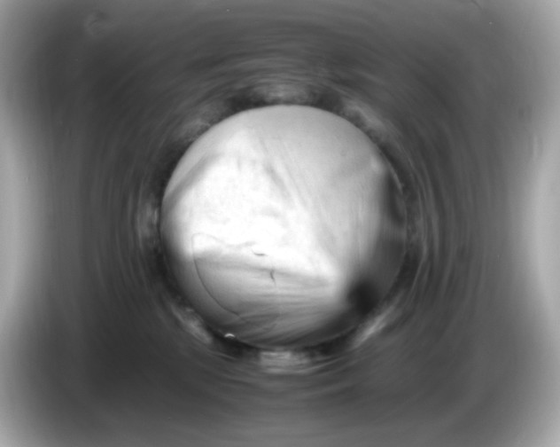 X0000086060281200704091234