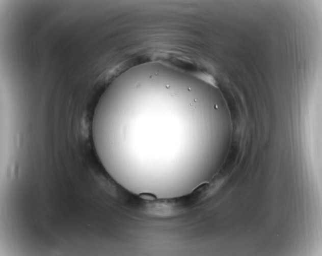 X0000086060282200704091234