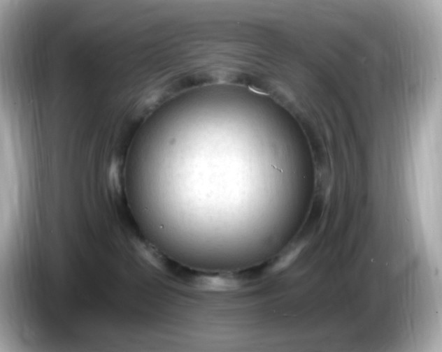 X0000086060286200704091234