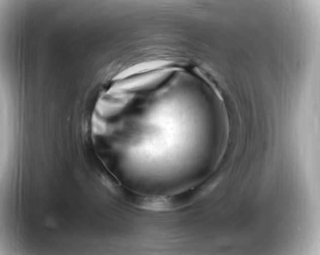 X0000086060288200704091234