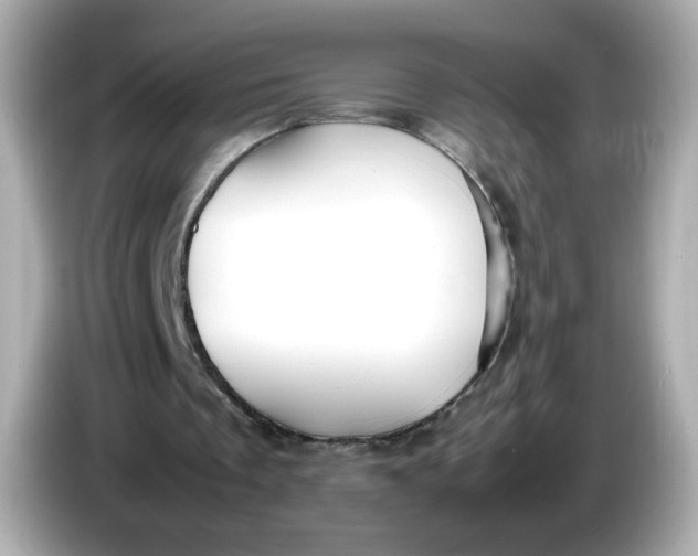 X0000086060289200704091233