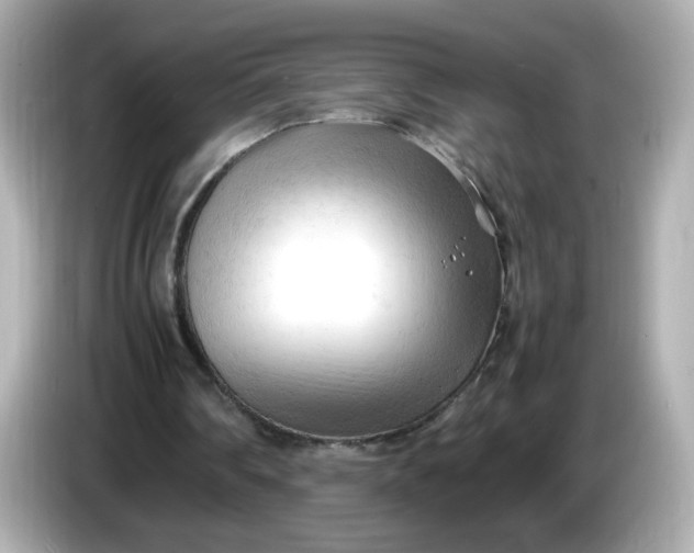 X0000086060290200704091233