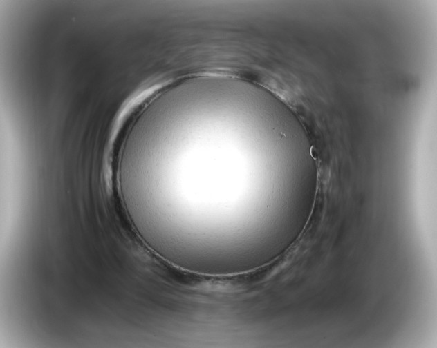 X0000086060294200704091233