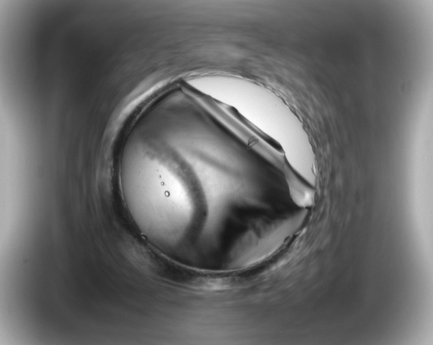 X0000086060295200704091233