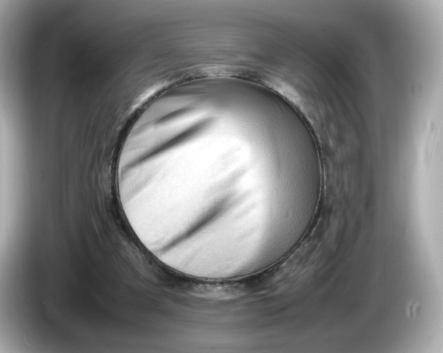 X0000086060297200704091233