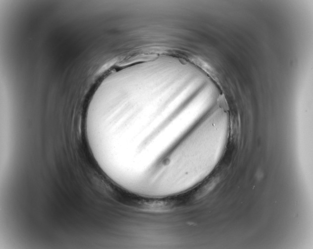 X0000086060301200704091233