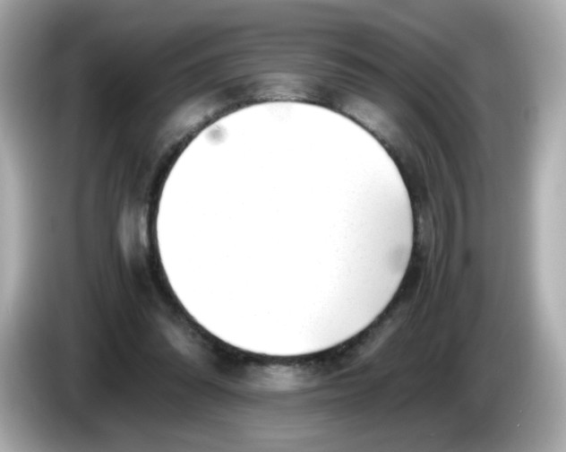 X0000086060302200704091233