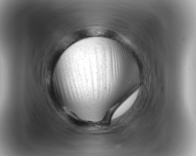 X0000086060315200704091233