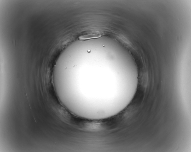 X0000086060318200704091233