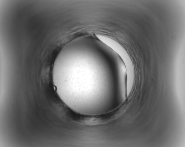 X0000086060319200704091233