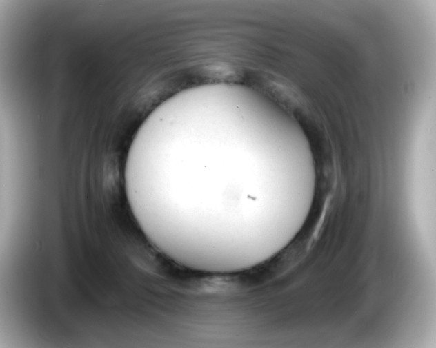 X0000086060320200704091233