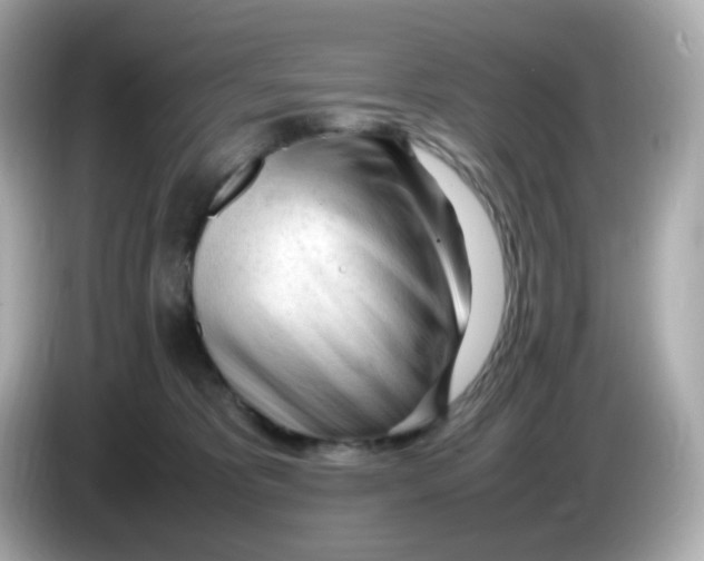 X0000086060325200704091233