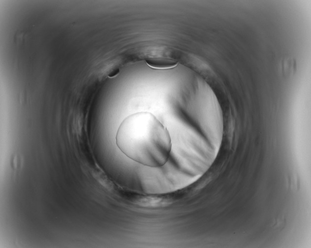 X0000086060326200704091233