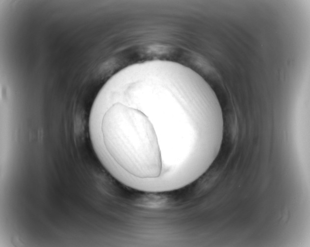 X0000086060328200704091233