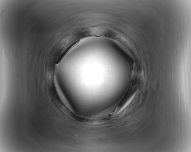 X0000086060329200704091233