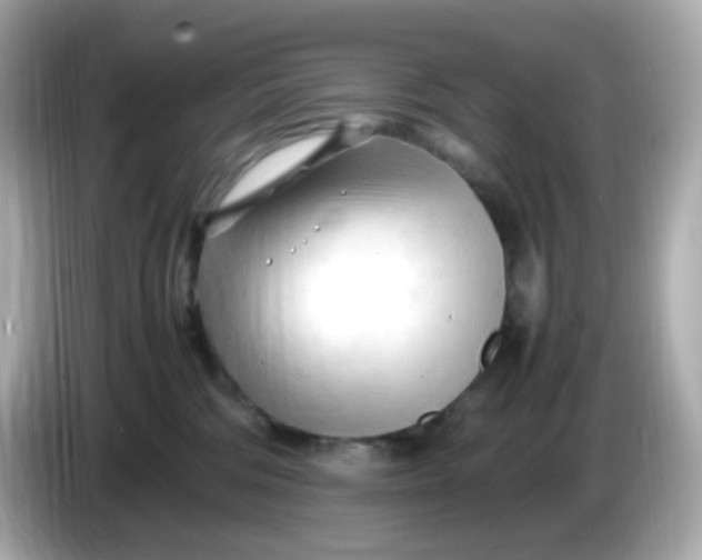 X0000086060330200704091233