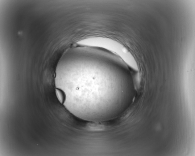 X0000086060331200704091233