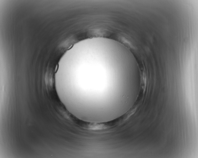 X0000086060334200704091232