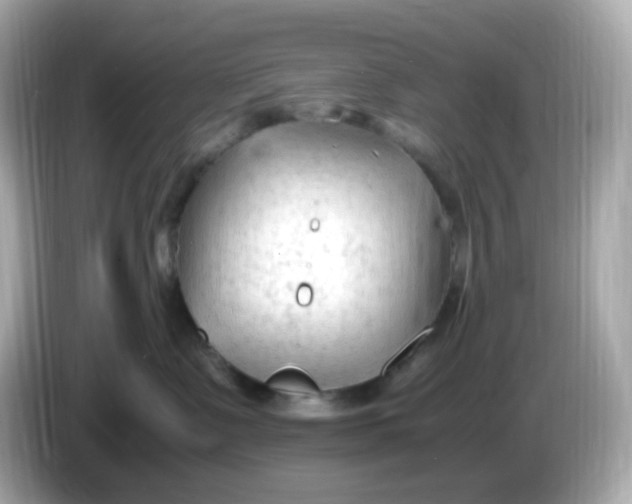 X0000086060335200704091232