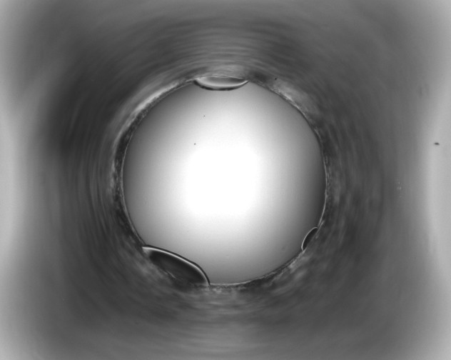 X0000086060338200704091232