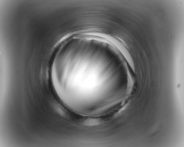 X0000086060350200704091232