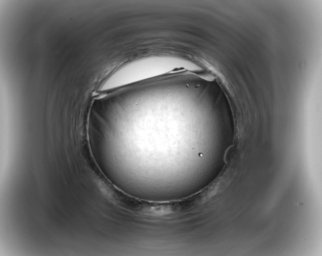 X0000086060353200704091232