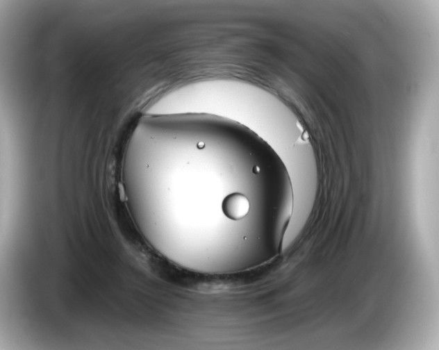 X0000086060356200704091232