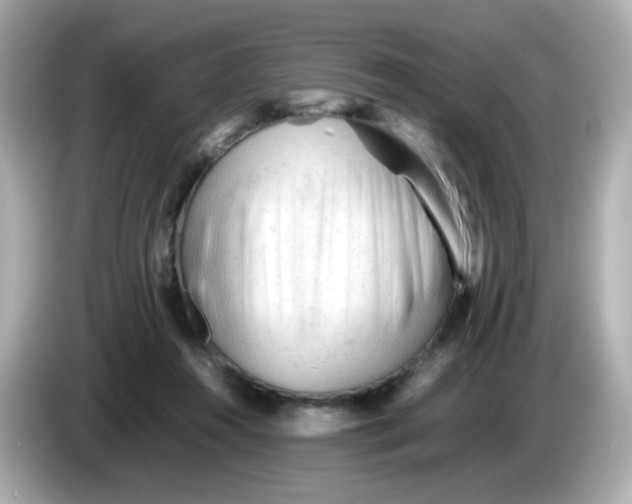 X0000086060360200704091232