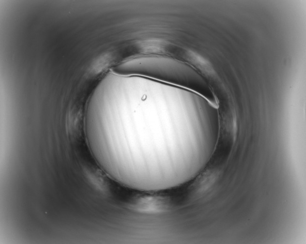 X0000086060364200704091232