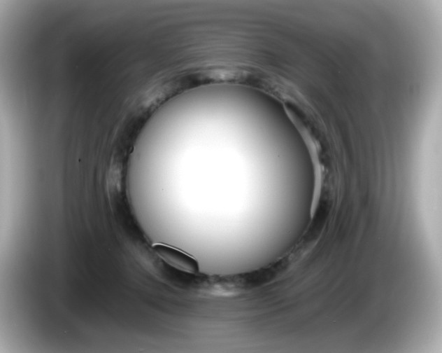 X0000086060368200704091232