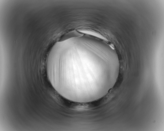 X0000086060369200704091232