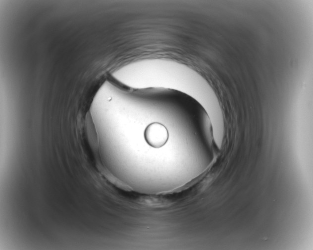 X0000086060372200704091232