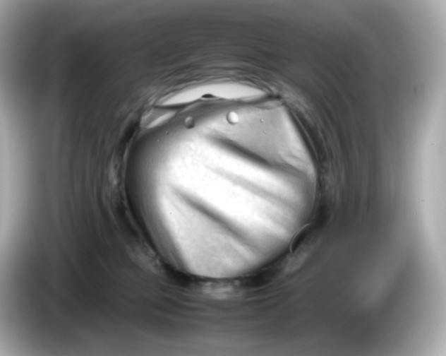 X0000086060373200704091232