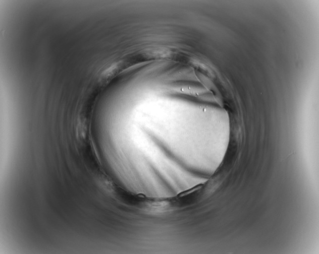 X0000086060374200704091232